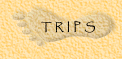 trips