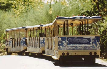 Tour Train leaves on the hour every hour till 8pm.